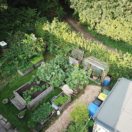 Ruhige Ferienwohnung „Suedhang“ Direkt Am Wald Bad Arolsen Exterior photo